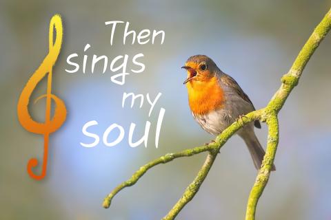 Gestaltung: Christian Georg